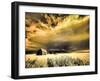 USA, Idaho, Liberty, Infrared of old cabin near Liberty-Terry Eggers-Framed Photographic Print