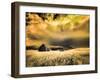 USA, Idaho, Liberty, Infrared of old cabin near Liberty-Terry Eggers-Framed Photographic Print