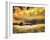 USA, Idaho, Liberty, Infrared of old cabin near Liberty-Terry Eggers-Framed Photographic Print