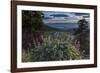 USA, Idaho. Mountain Globemallow and view of Teton Valley-Howie Garber-Framed Photographic Print