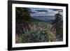 USA, Idaho. Mountain Globemallow and view of Teton Valley-Howie Garber-Framed Photographic Print