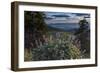 USA, Idaho. Mountain Globemallow and view of Teton Valley-Howie Garber-Framed Photographic Print