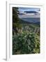 USA, Idaho. Mountain Globemallow and view of Teton Valley-Howie Garber-Framed Photographic Print