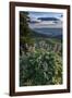 USA, Idaho. Mountain Globemallow and view of Teton Valley-Howie Garber-Framed Photographic Print