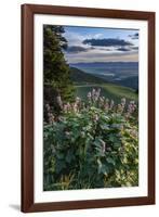 USA, Idaho. Mountain Globemallow and view of Teton Valley-Howie Garber-Framed Photographic Print