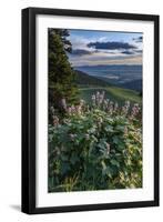 USA, Idaho. Mountain Globemallow and view of Teton Valley-Howie Garber-Framed Photographic Print