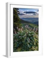 USA, Idaho. Mountain Globemallow and view of Teton Valley-Howie Garber-Framed Photographic Print