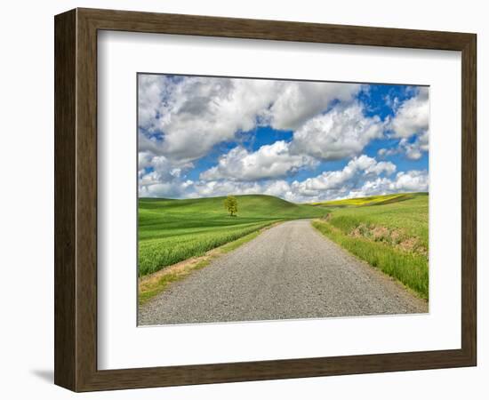 USA, Idaho, Palouse. Backroad with lone tree in wheat field-Terry Eggers-Framed Photographic Print