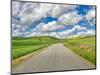 USA, Idaho, Palouse. Backroad with lone tree in wheat field-Terry Eggers-Mounted Photographic Print