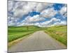 USA, Idaho, Palouse. Backroad with lone tree in wheat field-Terry Eggers-Mounted Photographic Print