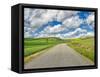 USA, Idaho, Palouse. Backroad with lone tree in wheat field-Terry Eggers-Framed Stretched Canvas