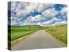 USA, Idaho, Palouse. Backroad with lone tree in wheat field-Terry Eggers-Stretched Canvas