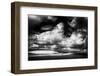 USA, Idaho, Palouse Country, Small tree in wheat field with Running light-Terry Eggers-Framed Photographic Print