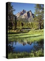 USA, Idaho, Sawtooth Wilderness, a Peak Reflecting in a Meadow Pond-Christopher Talbot Frank-Stretched Canvas