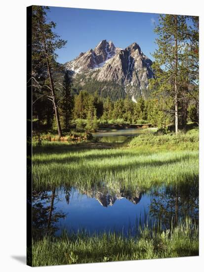 USA, Idaho, Sawtooth Wilderness, a Peak Reflecting in a Meadow Pond-Christopher Talbot Frank-Stretched Canvas