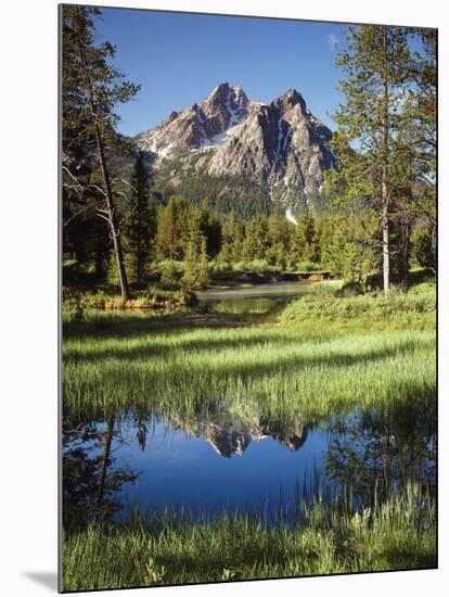 USA, Idaho, Sawtooth Wilderness, a Peak Reflecting in a Meadow Pond-Christopher Talbot Frank-Mounted Photographic Print