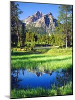 USA, Idaho, Sawtooth Wilderness-Jaynes Gallery-Mounted Photographic Print