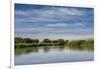 USA, Idaho. Teton River, willows and wetland near Driggs.-Howie Garber-Framed Photographic Print