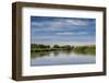 USA, Idaho. Teton River, willows and wetland near Driggs.-Howie Garber-Framed Photographic Print