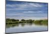 USA, Idaho. Teton River, willows and wetland near Driggs.-Howie Garber-Mounted Photographic Print