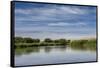USA, Idaho. Teton River, willows and wetland near Driggs.-Howie Garber-Framed Stretched Canvas
