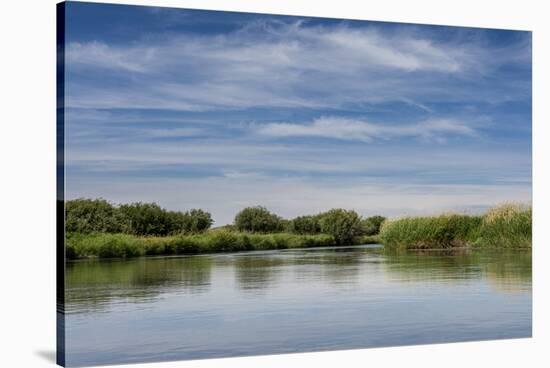 USA, Idaho. Teton River, willows and wetland near Driggs.-Howie Garber-Stretched Canvas