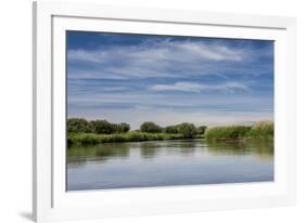 USA, Idaho. Teton River, willows and wetland near Driggs.-Howie Garber-Framed Photographic Print