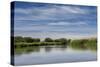 USA, Idaho. Teton River, willows and wetland near Driggs.-Howie Garber-Stretched Canvas