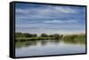 USA, Idaho. Teton River, willows and wetland near Driggs.-Howie Garber-Framed Stretched Canvas