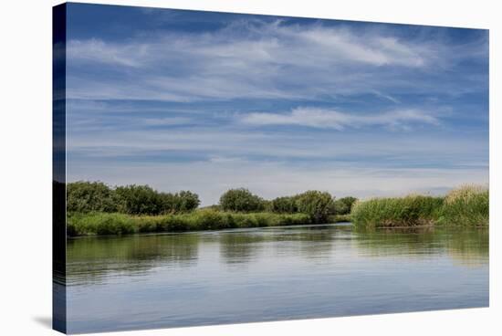 USA, Idaho. Teton River, willows and wetland near Driggs.-Howie Garber-Stretched Canvas