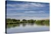 USA, Idaho. Teton River, willows and wetland near Driggs.-Howie Garber-Stretched Canvas