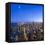 Usa, Illinois, Chicago, Downtown City Skyline-Gavin Hellier-Framed Stretched Canvas