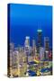 USA, Illinois, Chicago. Elevated Dusk View over the City from the Willis Tower.-Nick Ledger-Stretched Canvas