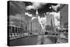 USA, ILlinois, Chicago. Michigan Street Bridge over the River-Petr Bednarik-Stretched Canvas