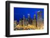 USA, Illinois, Chicago. Night Time View over the City.-Nick Ledger-Framed Photographic Print