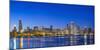 Usa, Illinois, Chicago. the City Skyline and a Frozen Lake Michigan from Near the Shedd Aquarium.-Nick Ledger-Mounted Photographic Print