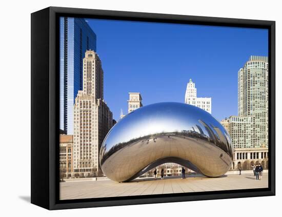 USA, Illinois, Chicago, the Cloud Gate Sculpture in Millenium Park-Nick Ledger-Framed Stretched Canvas