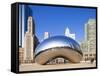 USA, Illinois, Chicago, the Cloud Gate Sculpture in Millenium Park-Nick Ledger-Framed Stretched Canvas