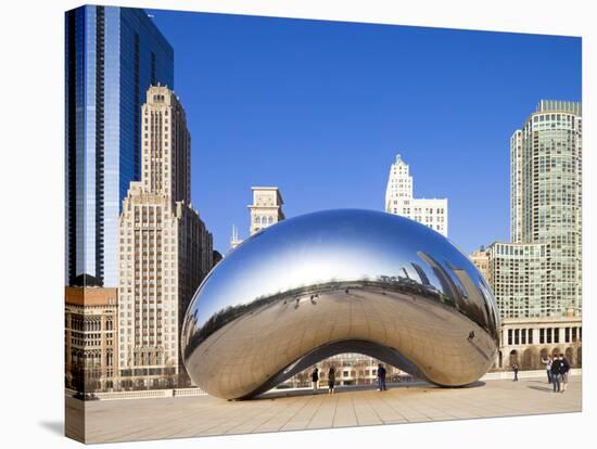 USA, Illinois, Chicago, the Cloud Gate Sculpture in Millenium Park-Nick Ledger-Stretched Canvas