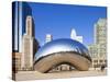 USA, Illinois, Chicago, the Cloud Gate Sculpture in Millenium Park-Nick Ledger-Stretched Canvas