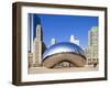 USA, Illinois, Chicago, the Cloud Gate Sculpture in Millenium Park-Nick Ledger-Framed Photographic Print