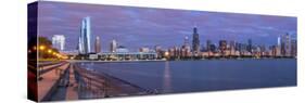 Usa,Illinois, Midwest, Cook County, Chicago, Panorama, Shedd Aquaroium-Christian Heeb-Stretched Canvas