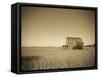 USA, Illinois, Old Route 66, Odell, Barn-Alan Copson-Framed Stretched Canvas