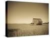 USA, Illinois, Old Route 66, Odell, Barn-Alan Copson-Stretched Canvas