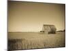 USA, Illinois, Old Route 66, Odell, Barn-Alan Copson-Mounted Photographic Print