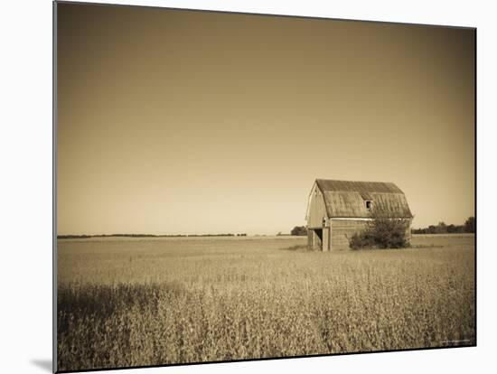 USA, Illinois, Old Route 66, Odell, Barn-Alan Copson-Mounted Photographic Print