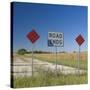 USA, Illinois, Old Route 66, Odell, Disused Sections of Route 66-Alan Copson-Stretched Canvas