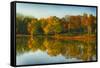 USA, Indiana, Autumn Trees Reflected in Wabash River-Rona Schwarz-Framed Stretched Canvas