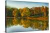 USA, Indiana, Autumn Trees Reflected in Wabash River-Rona Schwarz-Stretched Canvas