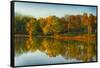 USA, Indiana, Autumn Trees Reflected in Wabash River-Rona Schwarz-Framed Stretched Canvas